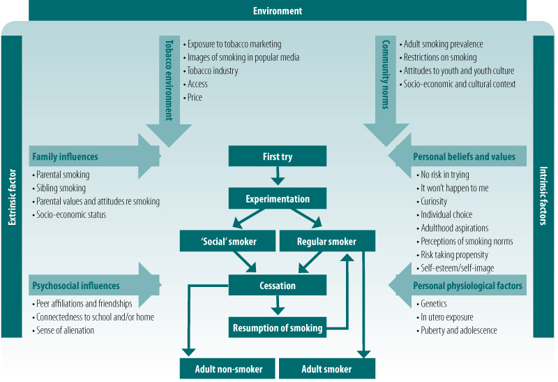 Influences on uptake of smoking