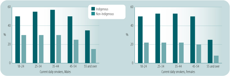 Smoking among Indigenous versus non-Indigenous Australians in 2004&ndash;05