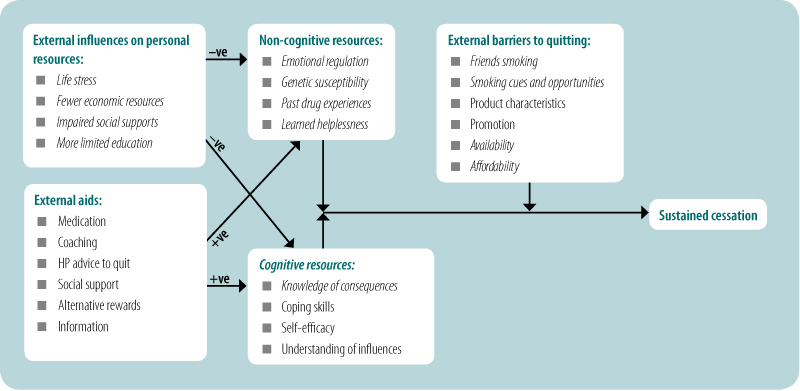 Factors driving socioeconomic disparities in smoking cessation
